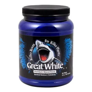 Great White Mycorrhizae