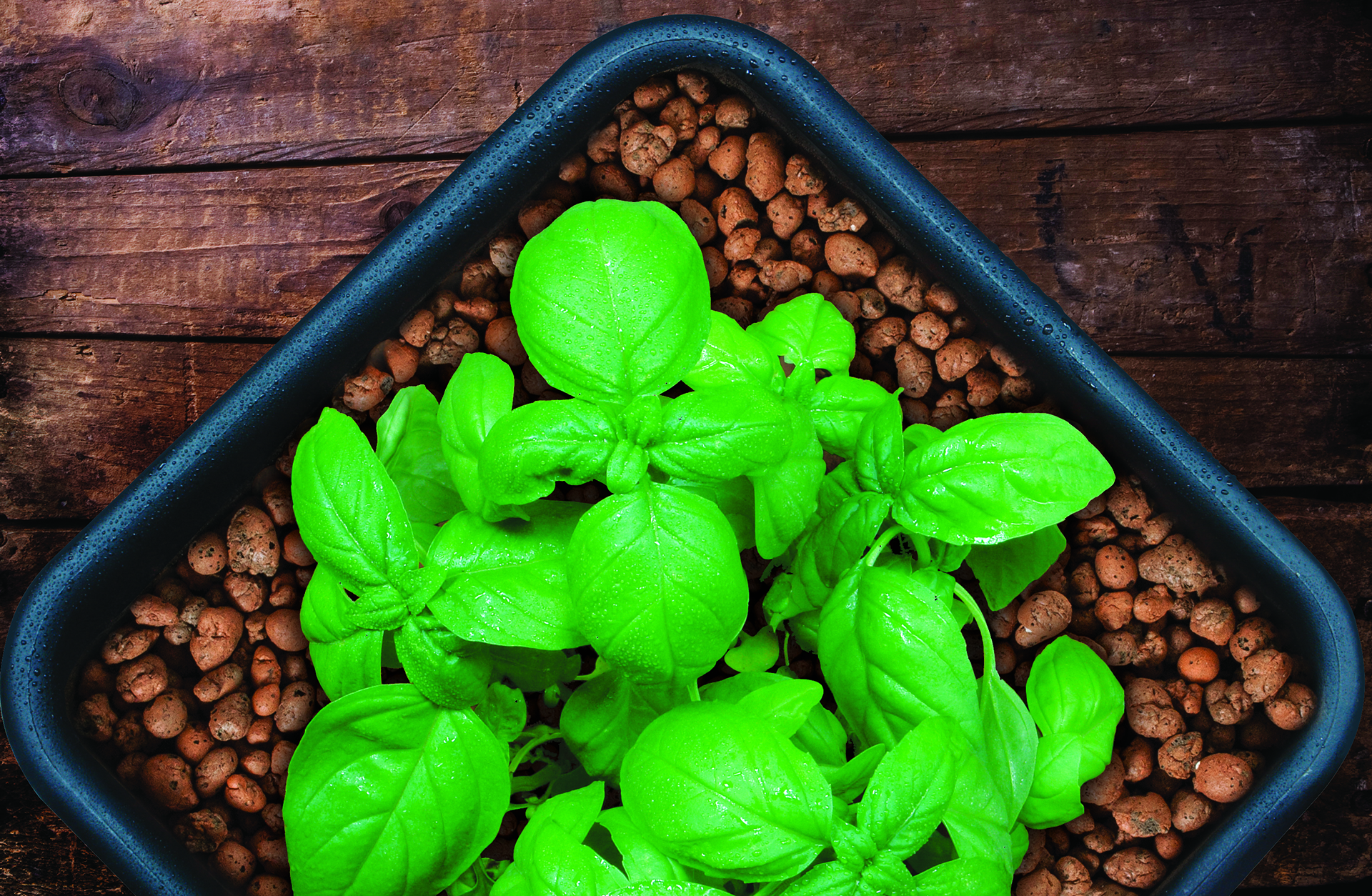 GROW!T natural clay pebbles for hydroponics and growing media