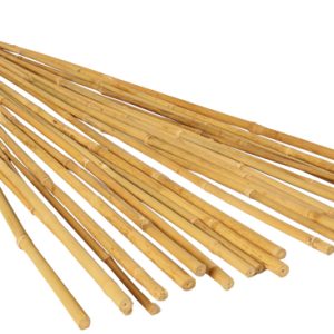Pack of 25 GROW!T 8-foot natural bamboo garden stakes for supporting vegetables, flowers, seedlings, and climbing plants.