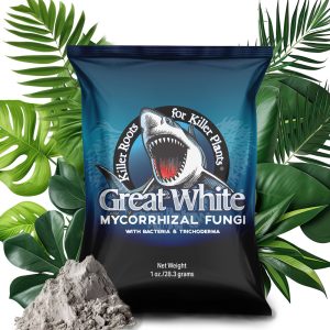 Great White Mycorrhizal Fungi root enhancer for stronger plant roots