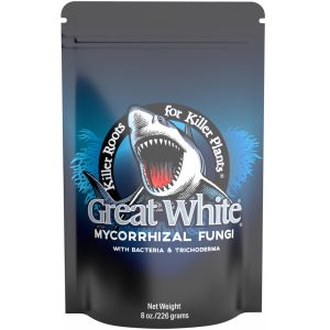 Great White Mycorrhizal Fungi root enhancer for stronger plant roots